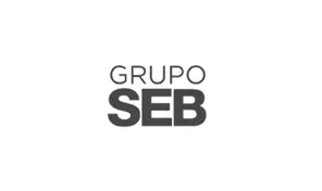 Logo - SEB